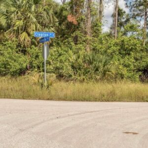Lehigh Acres, Florida (Lee County) - APN 12452707000310340 (photo 3)